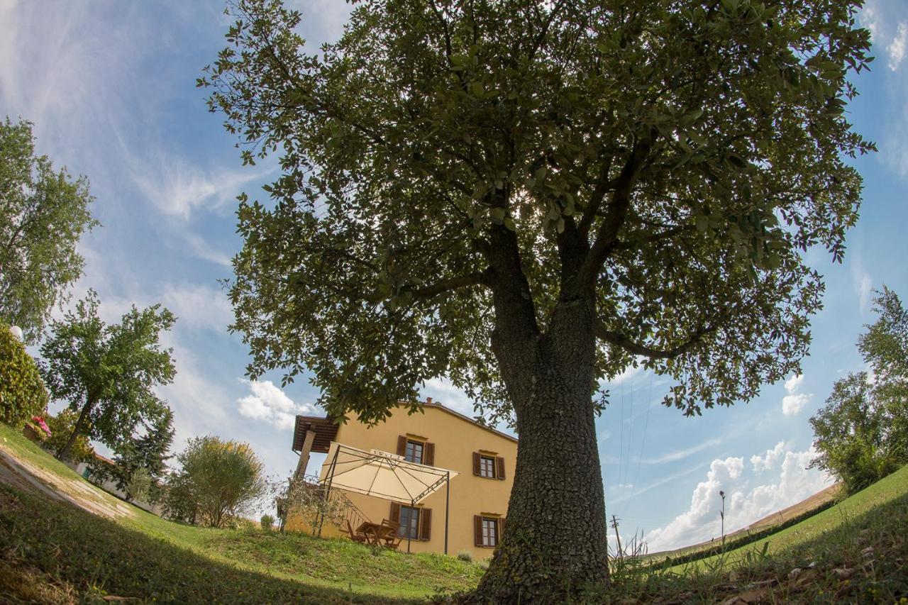 Agriturismo San Giuseppe Volterra Luaran gambar